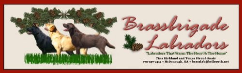 Labradors in all three colors bred for temperament, health & beauty.